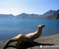 多人目击北极新物种藏匿于拉比凯尔湖，科学家也想知道是什么？